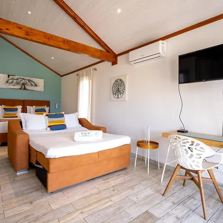 بيت ضيافة The Olive Hill 4*